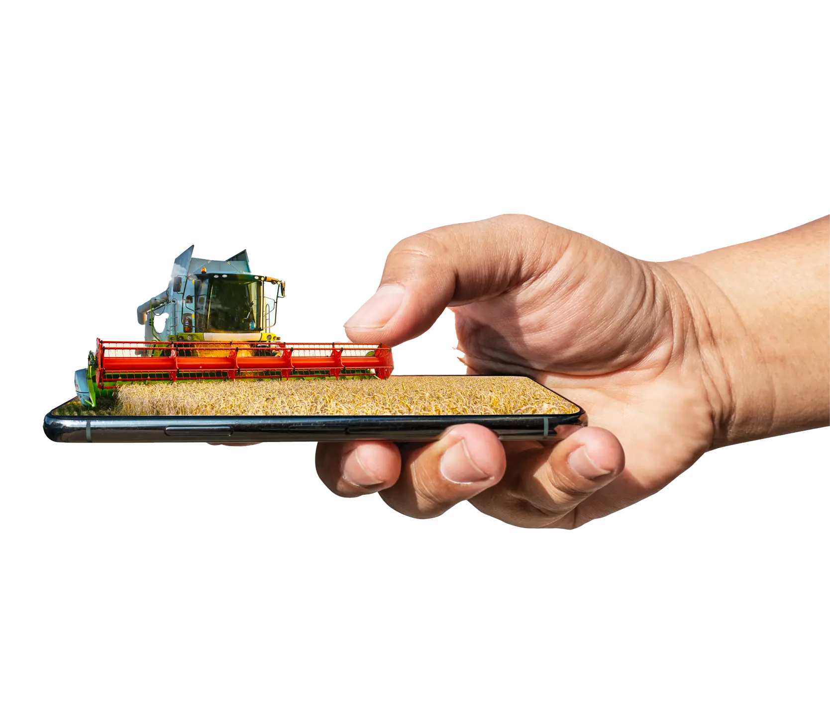 Documente transport recoltă