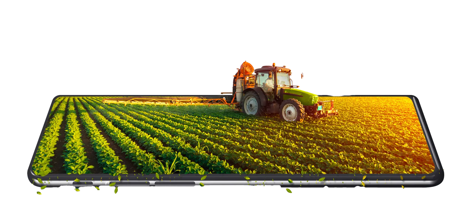 Istoric lucrări pe parcele