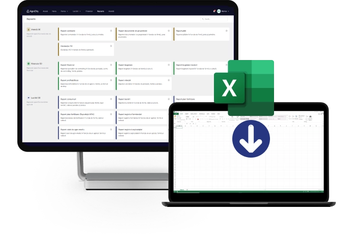 Export date în Excel